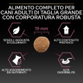 Purina Pro Plan Sensitive Digestion Large Robust Adult Salmone da kg 14